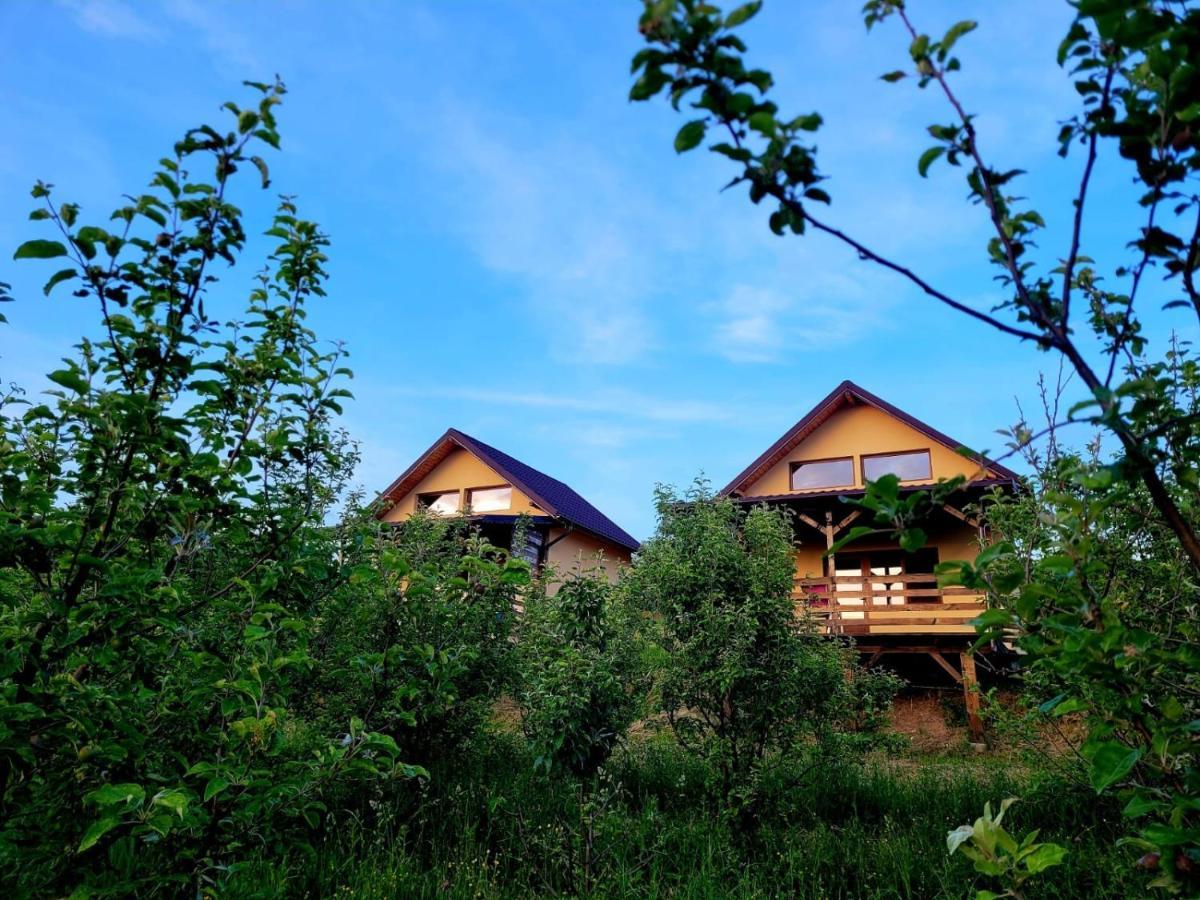 Вилла Casa David Plai  Экстерьер фото